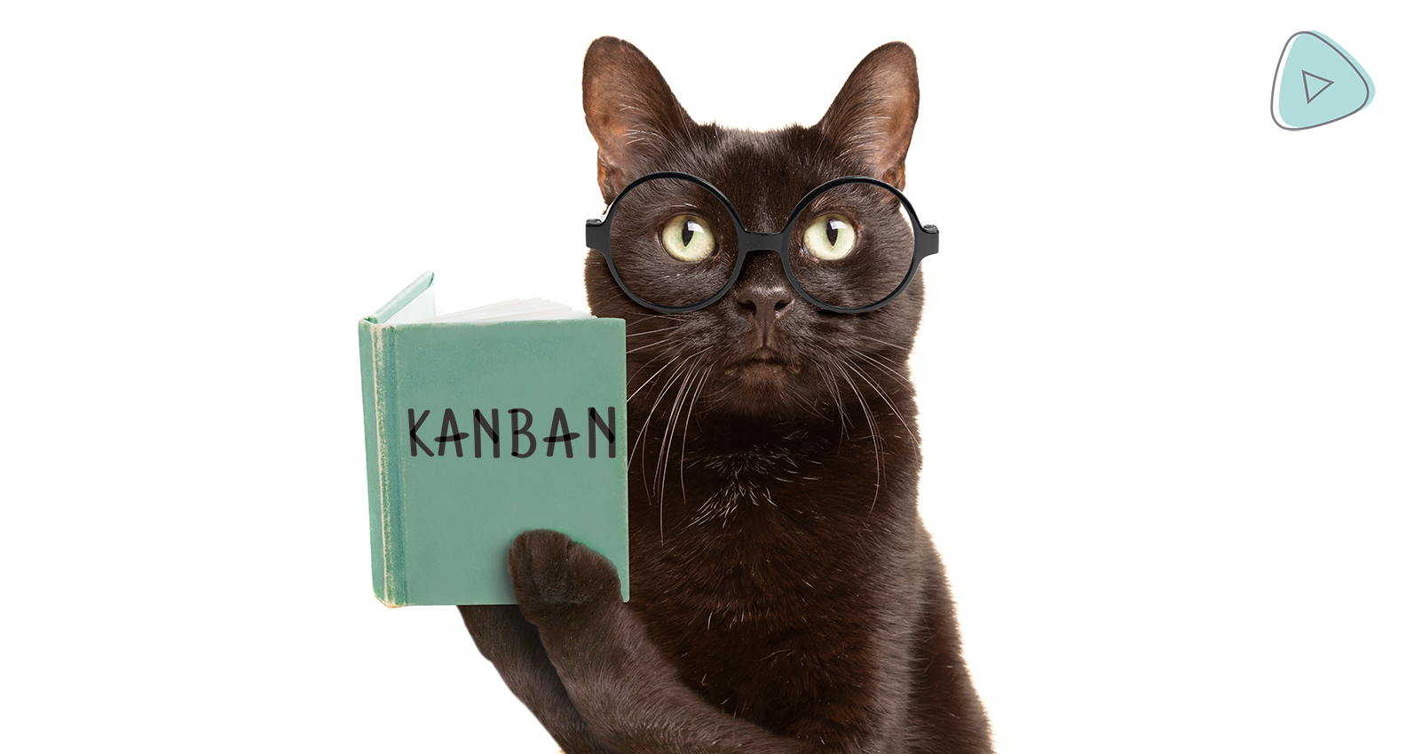 Cat learning Kanban image